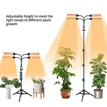 360-graders Justerbar LED Med Stå Plante Vokse Lampe-Timeren Fire Hoved planternes Vækst, Lys, Gear Plante Lys til Hjemmet Indendørs Planter