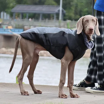 2020 Ny Pet Tøj Efterår Vinter Varm Hund Tøj i Størrelse XL-6XL Vandtæt Og Bomuld Store Hund Tøj Pet Supplies