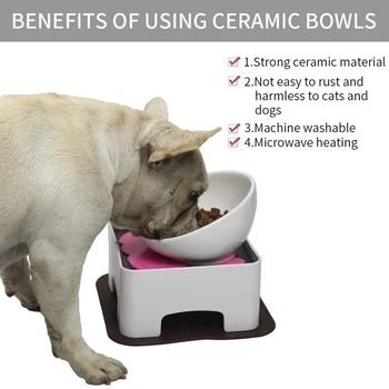 Rejst Keramik Dog Feeding Bowl, Forhøjet Dog Skåle der er Anti-Slip for Små og Mellemstore Hunde og Katte,Hvid