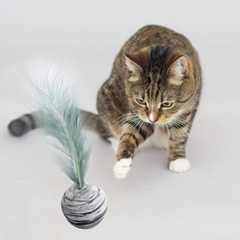 Sjove Interaktive Plys Legetøj EVA Materiale Cat Toy Stick Fjer Wand Leverer Stjerne Ball Plus Fjer Let Skum Bolden Kaste Legetøjet