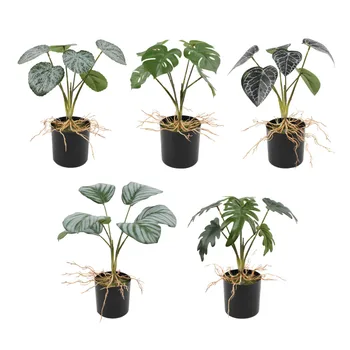 Grøn Bonsai Hjem Dekoration Simulering Potteplanter Højde 33cm Til Dekoration Bryllup 1stk Kunstige