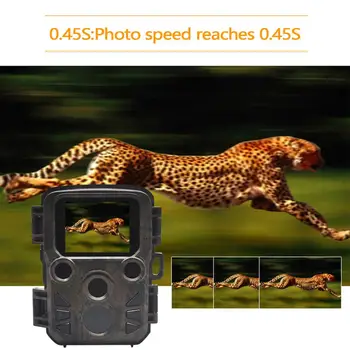 MINI Chasse Jagt 16MP Kamera 1080P Full HD Dyreliv Spejder Kamera med Night Vision Jagt Vildt Kamera Foto Fælder Hunter Cam