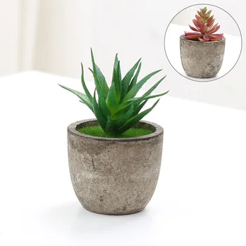 Mini Kunstige Sukkulent Plante, Bonsai Simulering Sukkulent Plante, Grønne Planter Desktop Home Fritid Indretning Kunst med puljen