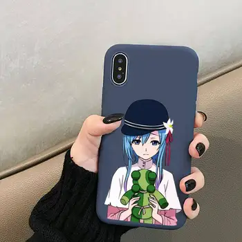 Anime Plunderer Phone Case for iPhone 12 mini-11 Pro XS MAX X XR 7 8 6 Plus Slik Farve blå Blød Silikone Cover