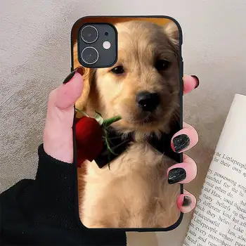 Søde golden retriever hund Phone Case For iphone 5S 6S 7 8 11 12 XR XS SE Plus Pro ProMax Dække Fundas Coque