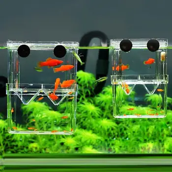 2 Størrelsen Akryl Dobbelt Lag Akvarium Flydende Inkubator Fisk Skål Akvarier Avl Rugeri Isolation Til Guppy Bedre Fisk