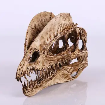 Andre Modeller Jurassic Filmens Rekvisitter Kraniet Indretning Dinosaur Dinosaur Kraniet Dinosaur Skelet Have Harpiks Hjem Simulation