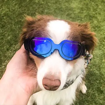 UV-Beskyttelse Vandtæt, Anti-tåge Hund Kat Solbriller, Briller Brillerne Kæledyr Levering