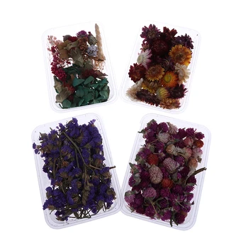 1 Box Mix Smuk Rigtige Tørrede Blomster Naturlige Blomster for Kunst Håndværk Scrapbooking Harpiks Smykker Håndværk at Gøre Epoxy Formen Fyld