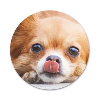 Smuk Chihuahua Hund Badge Broche Pin Tilbehør Til Tøj, Rygsæk Dekoration gave