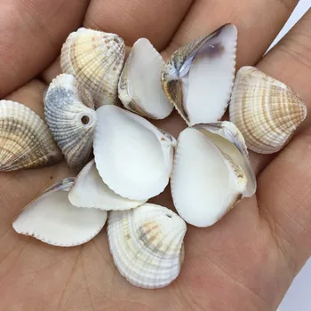 Naturlige shell Vedhæng vifteformede Udsøgt charms til Smykker at Gøre DIY Armbånd, Halskæder, øreringe og Tilbehør Størrelsen 15x18mm