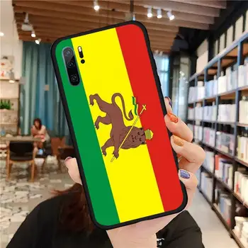 Retro etiopien flag Telefonen Sagen For Huawei P 40 30 20 lite pro smart 2019 ære 10 jeg lite 8x mate 20 pro nova 5t funda