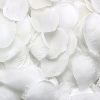 500 rosenblade spredt hvid dekoration Wedding Party